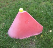 Carriage Driving Cones