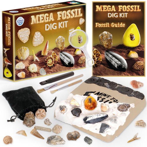 Science kidz mega - kidz, fossil