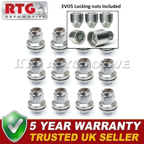 12x nuts evo5 locking - nuts, +
