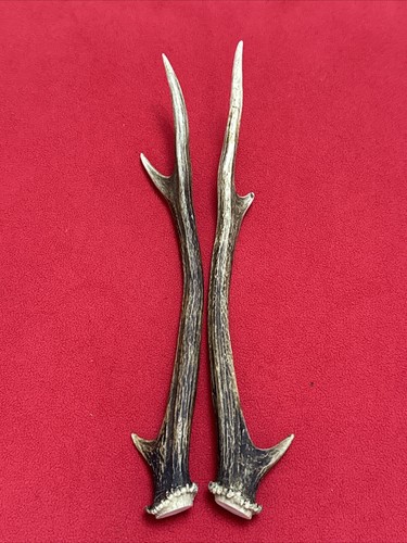 Pair sika deer antlers - pair,