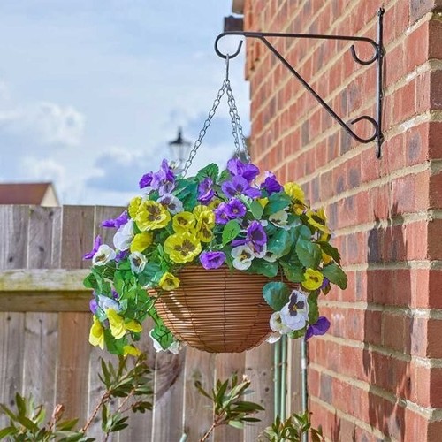 Beautiful winter pansy - beautiful,