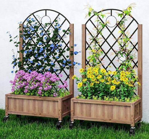 Trellis planter box garden - x,