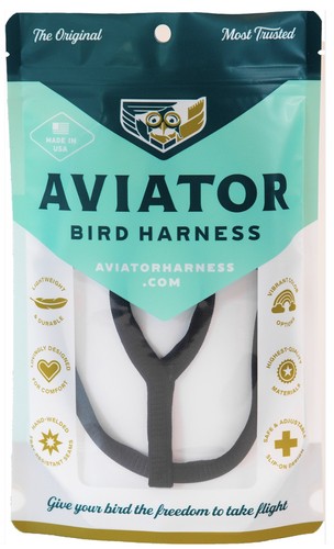 The aviator parrot - the,
