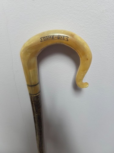 Rams horn shepherds crook - horn,