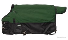 Miniature Horse Winter Turnout