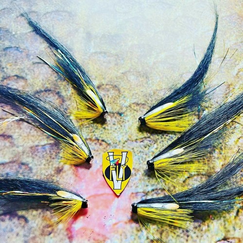 Fly black yellow - fly,