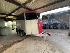 Ifor Williams HBX 511 Horse Trailer
