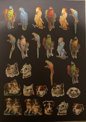 Collection antique - collection,