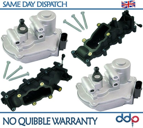 Intake manifold flap - manifold, +