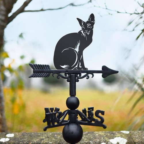 Cast iron sphynx cat - cast,