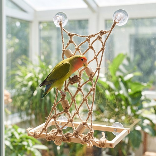 Wooden parrot play - wooden,