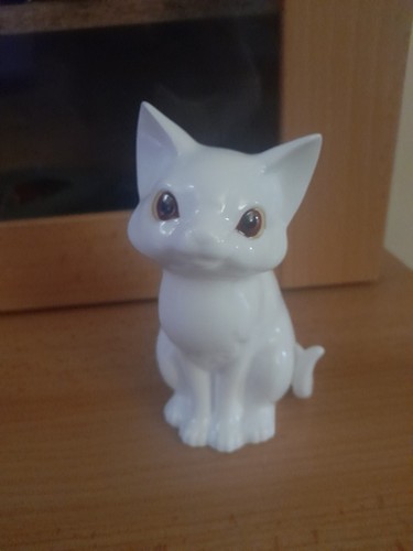 Royal osborne white cat - osborne,,