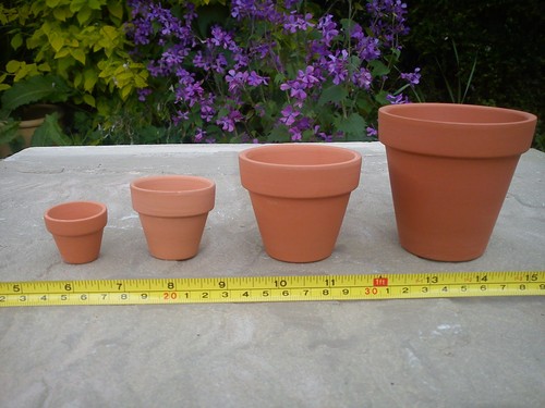 Terracotta clay plant pots - plant,