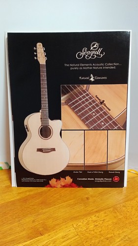 Seagull acoustic guitar - acoustic,