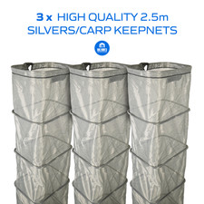3 x Quality Silverfish Carp