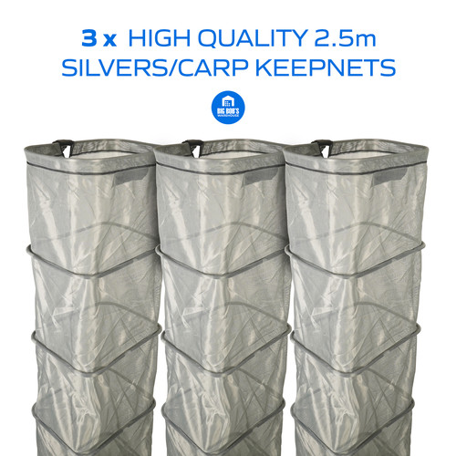 Quality silverfish carp - quality,