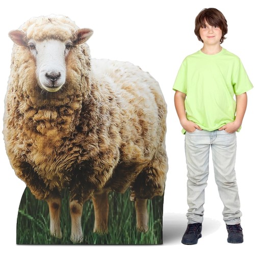 Life size sheep - life-size, cutout
