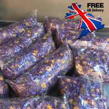 Dried BLUE LOTUS Nymphaea