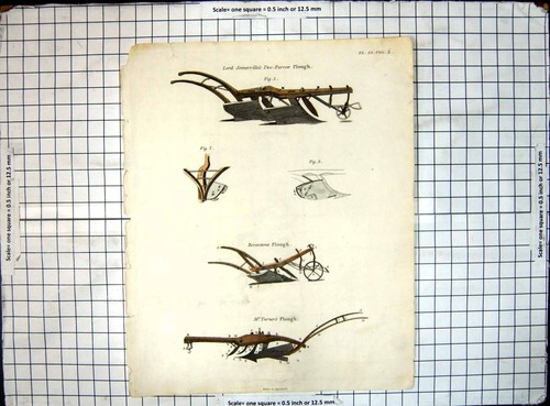 Antique old print - print, lord