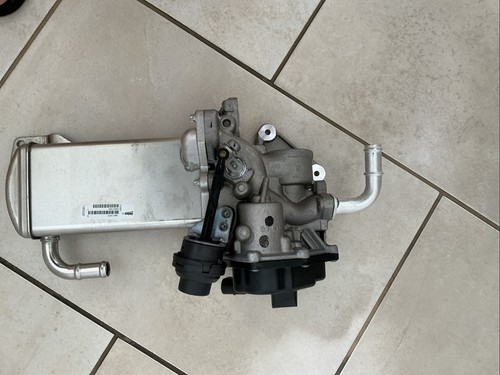 Volkswagen transporter egr