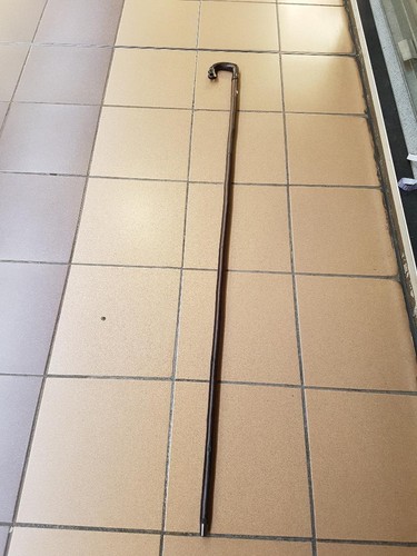 Walking stick crook thistle - ,