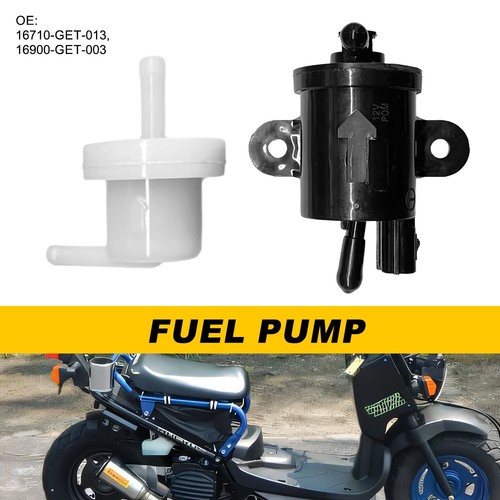 Fuel pump and - fuel,