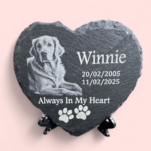 Dog loss photo - dog,