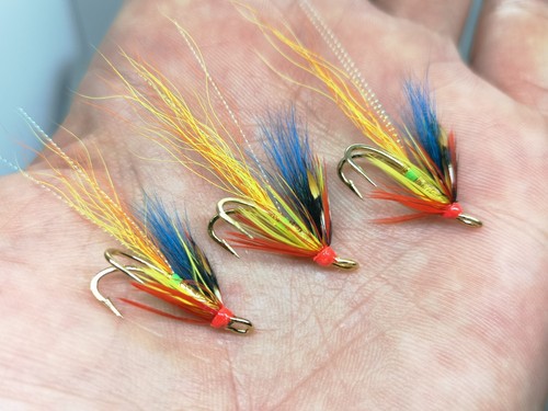 Blue winged carron - blue, shrimp