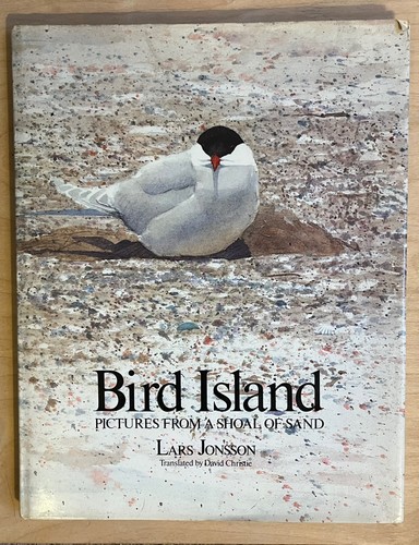 Bird island pictures from a - bird,