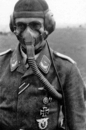 German luftwaffe pilot - luftwaffe, in