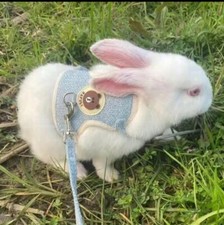 Pet Rabbit Cat Guinea Pig Small Animal Clothes Mesh Lead Vest Harness With Leash