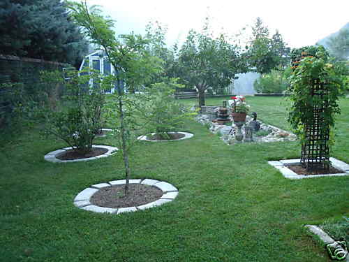 Large diy concrete garden - diy,