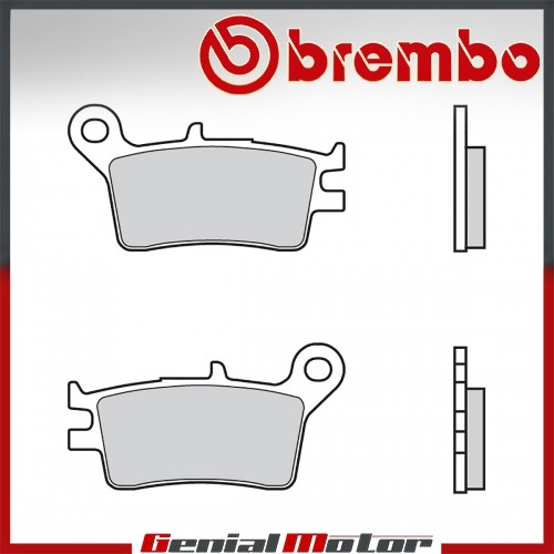 Rear brembo brake pads for - rear, 07