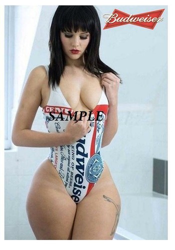 Budweiser girl refrigerator - girl, #1