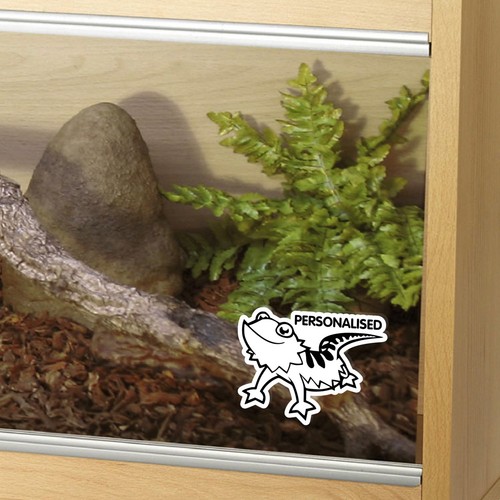 Customised bearded dragon - customised,