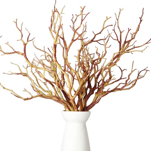 Inch small manzanita - small,