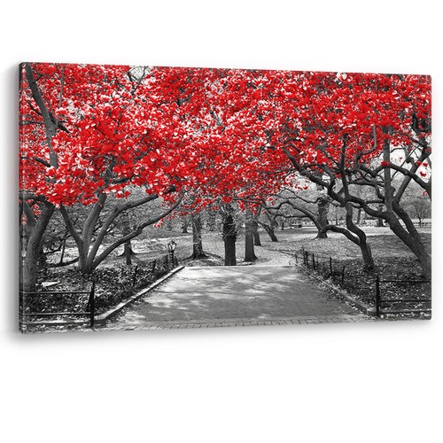 Red trees central park - in, new
