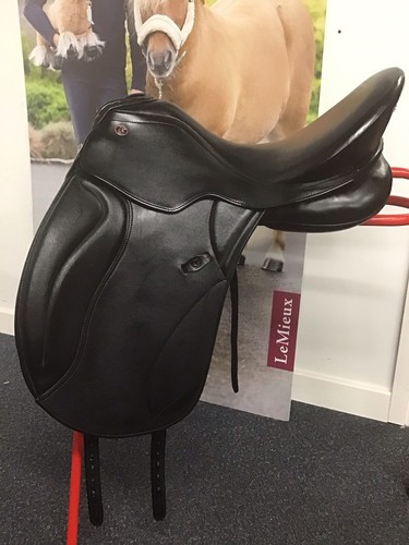 171 kieffer paris dressage - 171/2,
