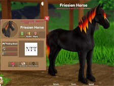 Wild Horse Islands - Fading Black, Cracked Lava, FRIESIAN Horse - IUH