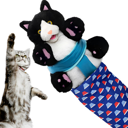 Jadyon cats puppet wrestler - jadyon,