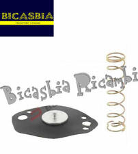 13741 - DIAPHRAGM MEMBRANE