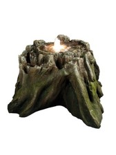 Tree Trunk Section Water