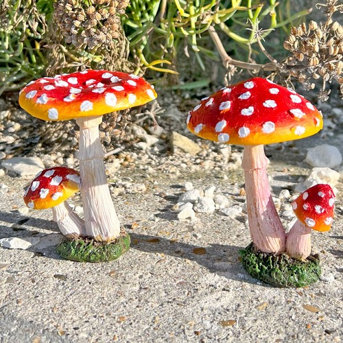 Pair garden mushroom - garden, /
