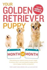 Your Golden Retriever Puppy