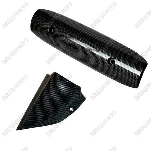 Carbon manifold protection - manifold,