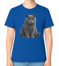 British shorthair cat sitting - shorthair,
