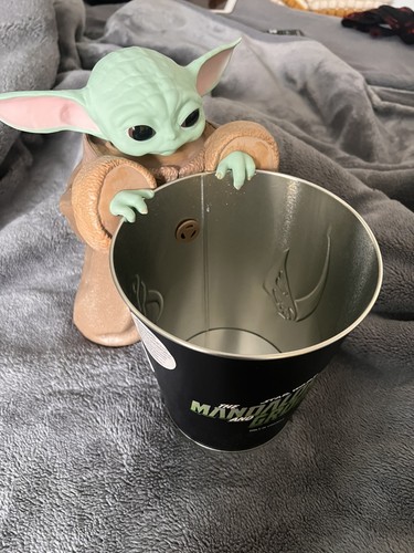 The mandalorian and grogu - the,