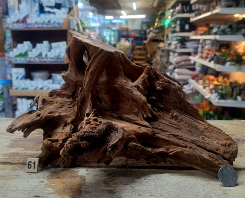 Medium natural bogwood - natural,