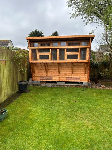 Pigeon loft with netted - 10,