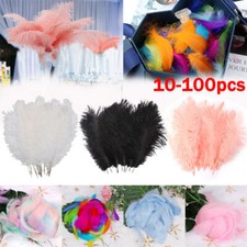 10-100×Ostrich Feathers For Wedding Party Costume Decoration DIY Craft 25-30cm